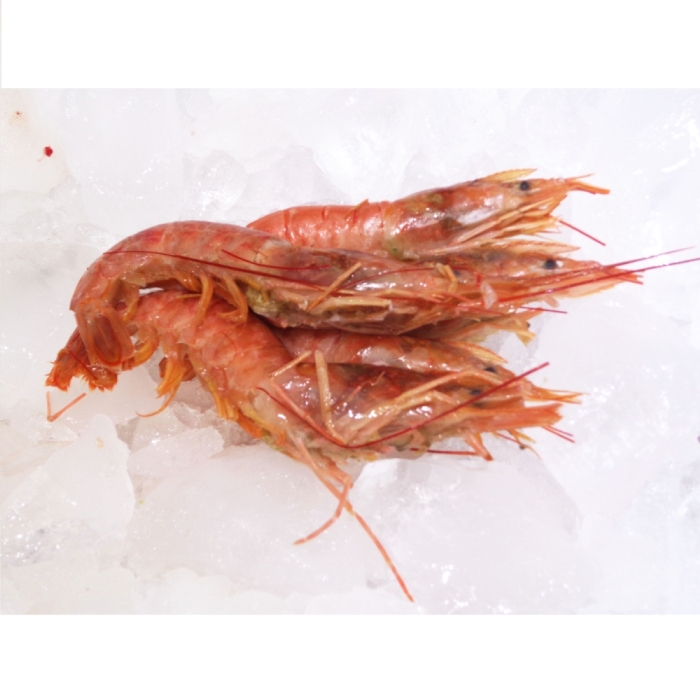 LANGOSTINOS ENTEROS x KG
