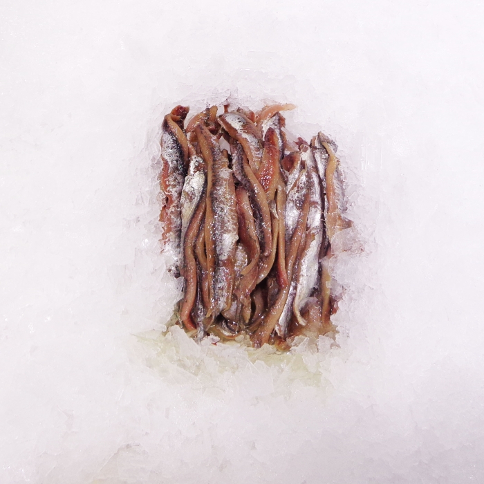 ANCHOAS EN ACEITE x KG